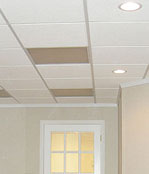 Basement ceiling tiles - Bend and Springfield
