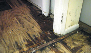 Rotting Basement Wood Subflooring