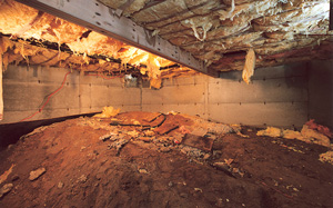 Crawl Space Moisture Barrier before in Portland