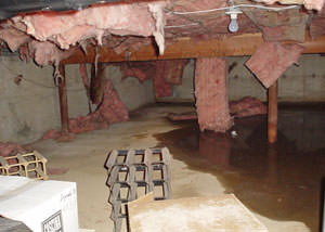 fiberglass insulation dripping off the ceiling of a crawl space in Albany.