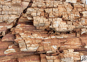 Dry rot damage on wood in Woodburn