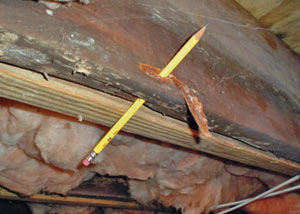 Destroyed crawl space structural wood in Battle Ground