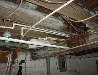 a humid basement overgrown with mold and rot in McMinnville