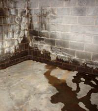 Water seeping through a concrete wall in a Newberg basement