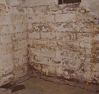 Peeling, Chipping, Basement Wall Coatings in Canby