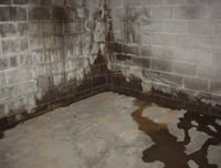 flooded basement with leaky basement walls in The Dalles, OR