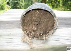 clogged french drain found in Prineville, Oregon